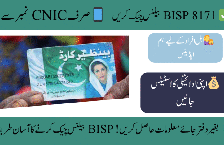 BISP 8171 Online Check Balance – Who Can Use & How
