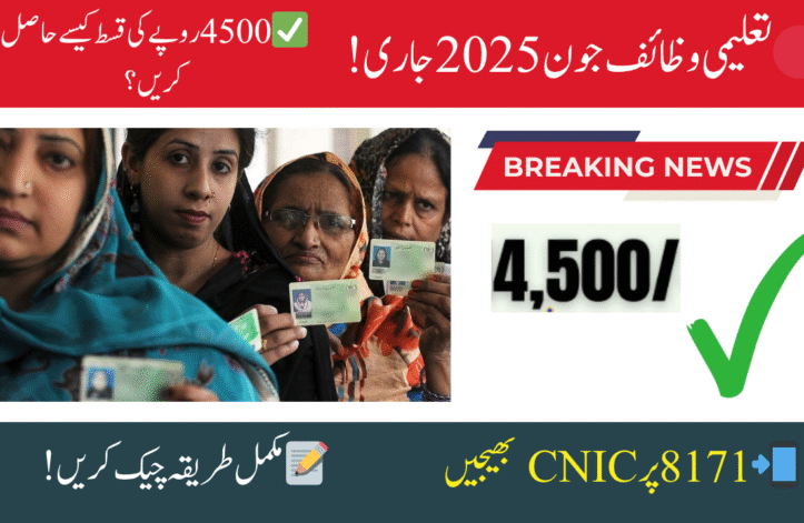 How to Check Benazir Taleemi Wazaif June 2025