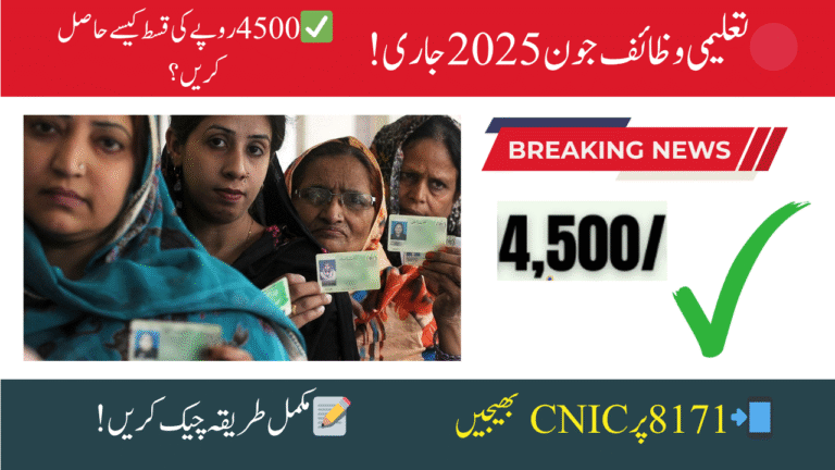 How to Check Benazir Taleemi Wazaif June 2025