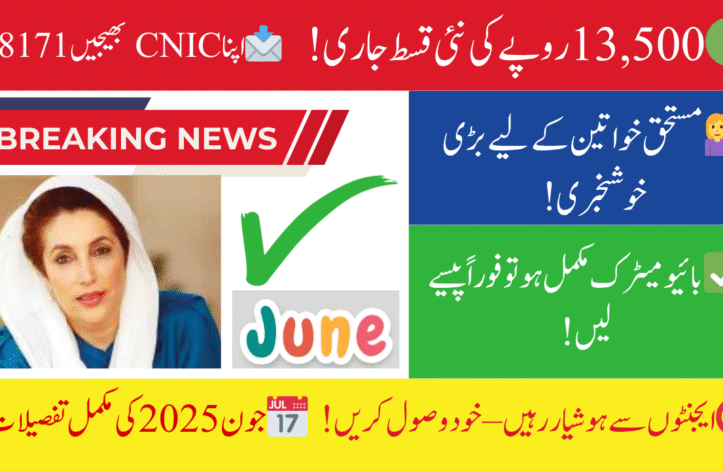 Procedure to Check Ehsaas Program 8171 June 2025 Payment